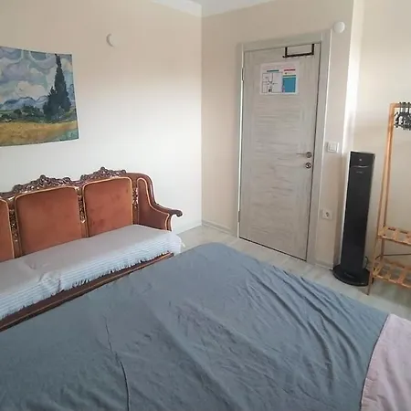 Istanbulda Merkezi Pitoresk Konum Muestakil Yeni Ev